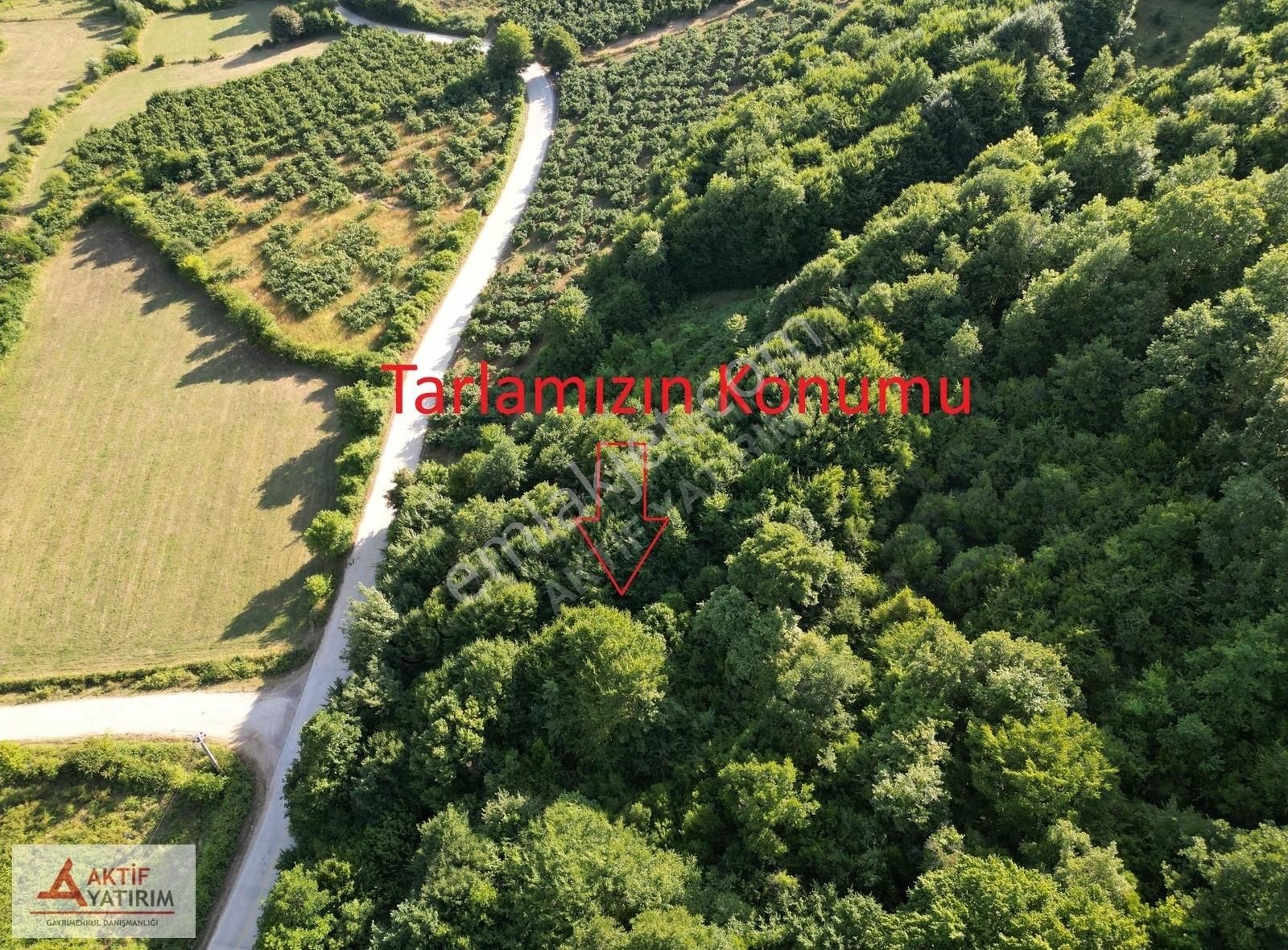 Bağırganlı'da Doğa İçinde 1490 M2 Satılık Tarla - Görsel 14