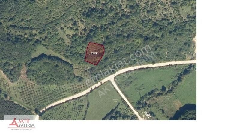 Bağırganlı'da Doğa İçinde 1490 M2 Satılık Tarla - Görsel 4