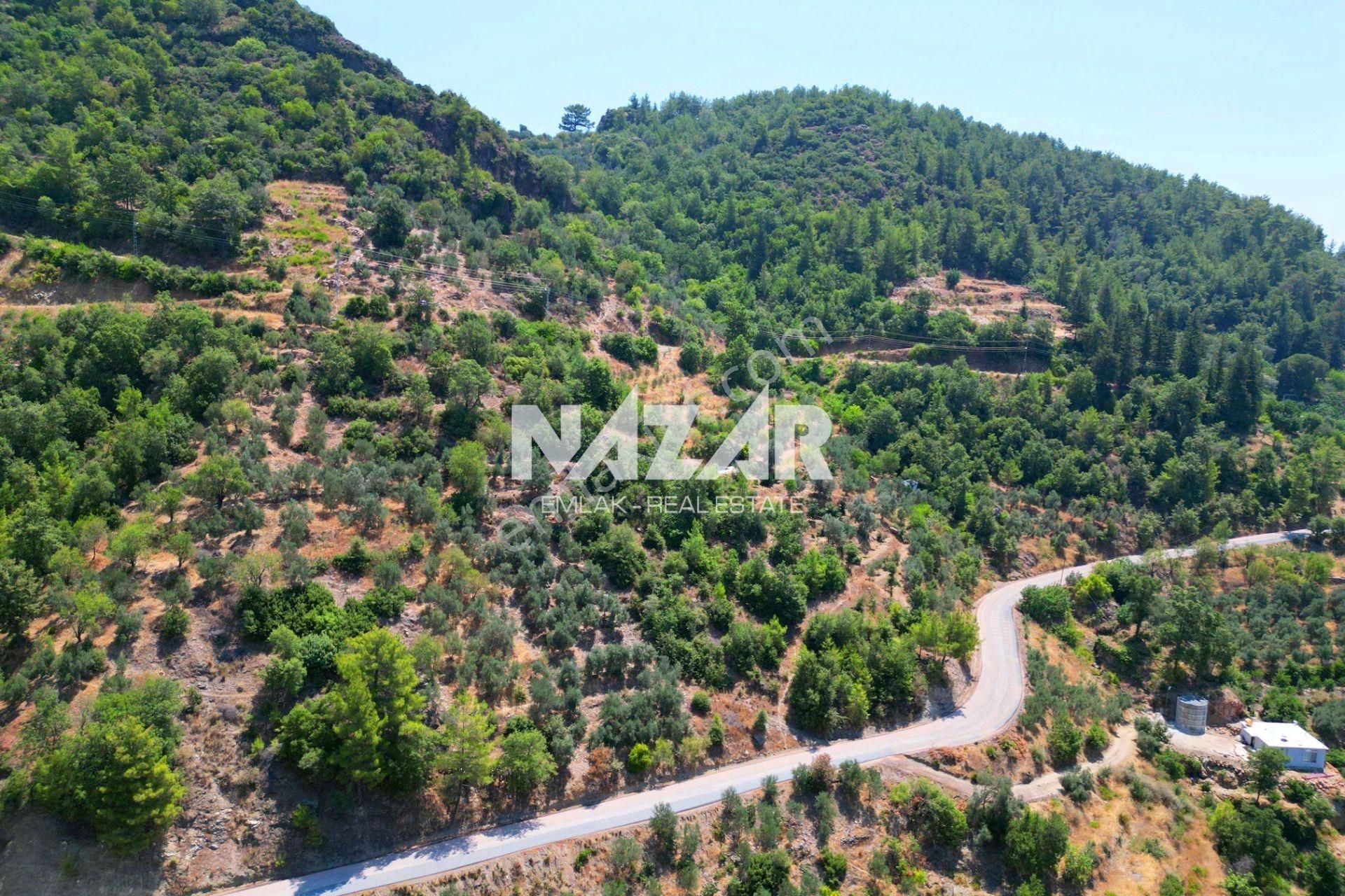 Alanya Şıhlar’da 3.380 M² Satılık Tarla - Görsel 8