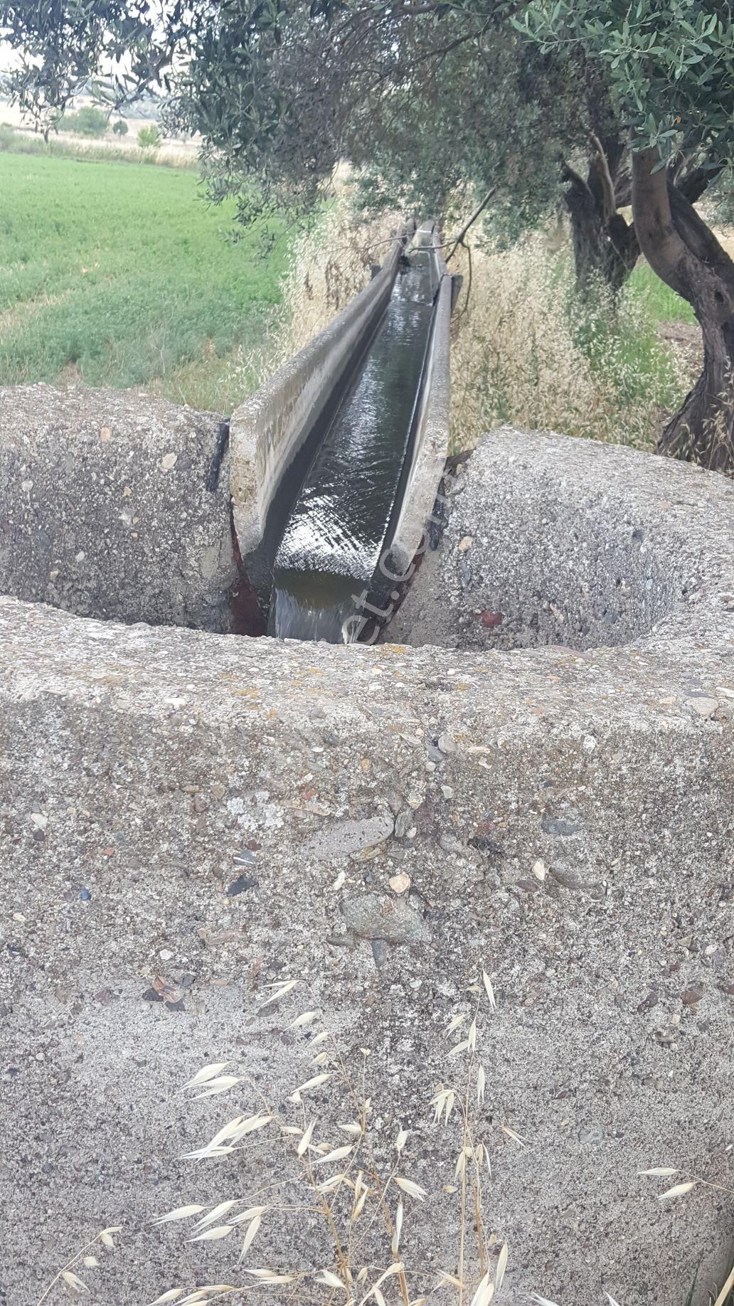 Rose Emlak'tan Satılık Yola Sıfır Zeytinlik Kupon Arazi - Görsel 14