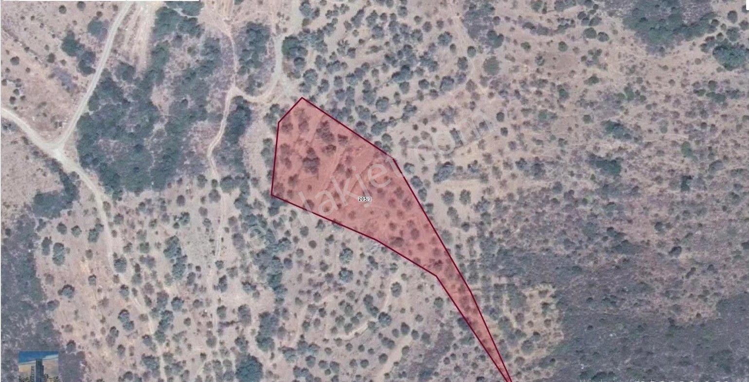 S00989 Ayhan Gezer'den Muğla Datça'da 4025m2 Satılık Tarla