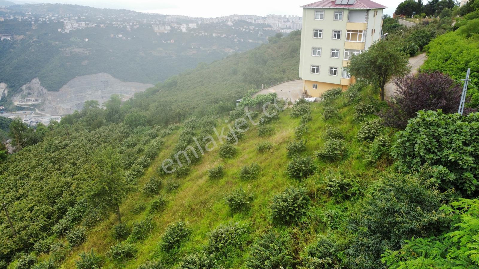 Trabzon Ortahisar'da Satılık Arazi - Görsel 5