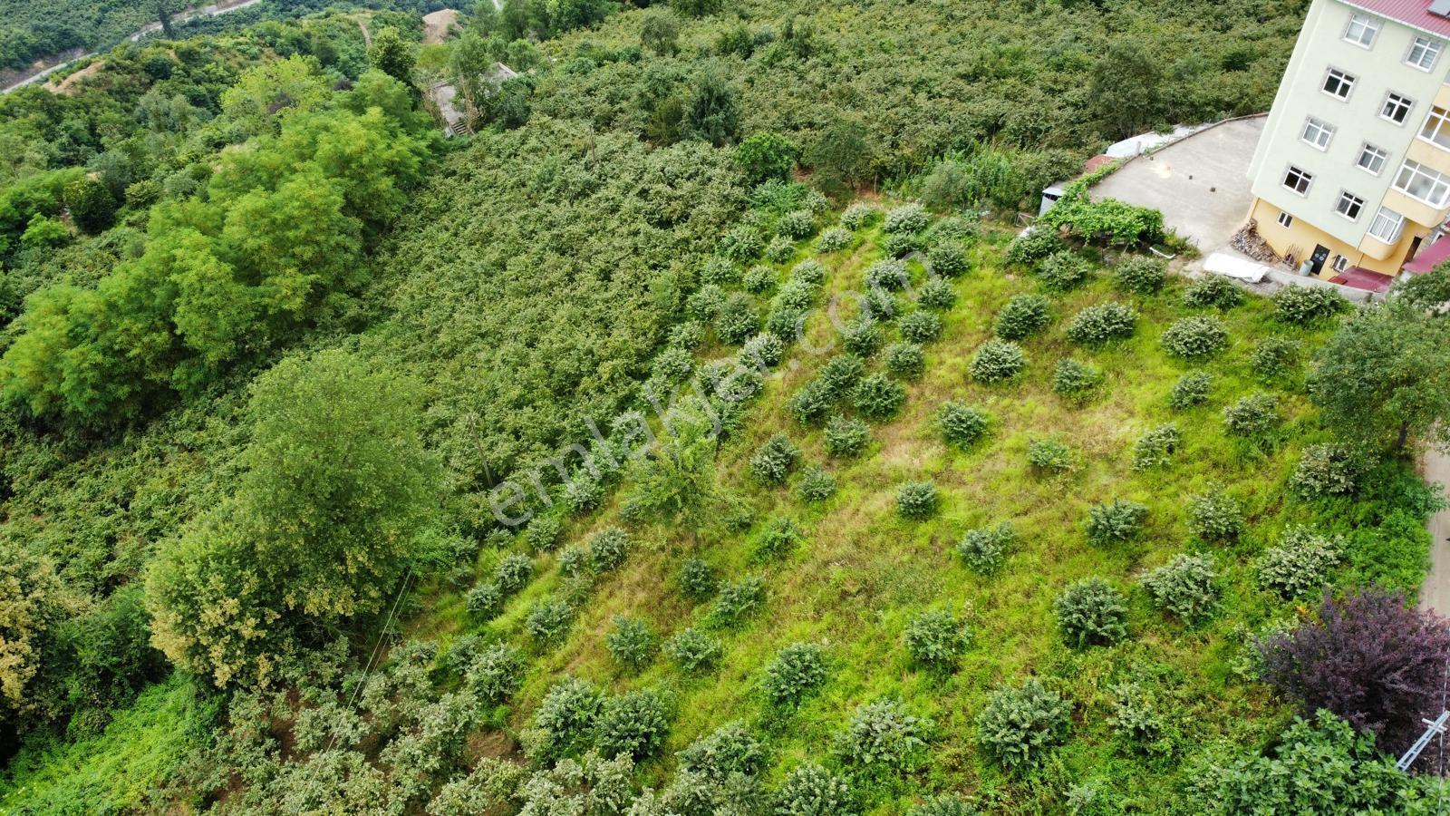 Trabzon Ortahisar'da Satılık Arazi - Görsel 9