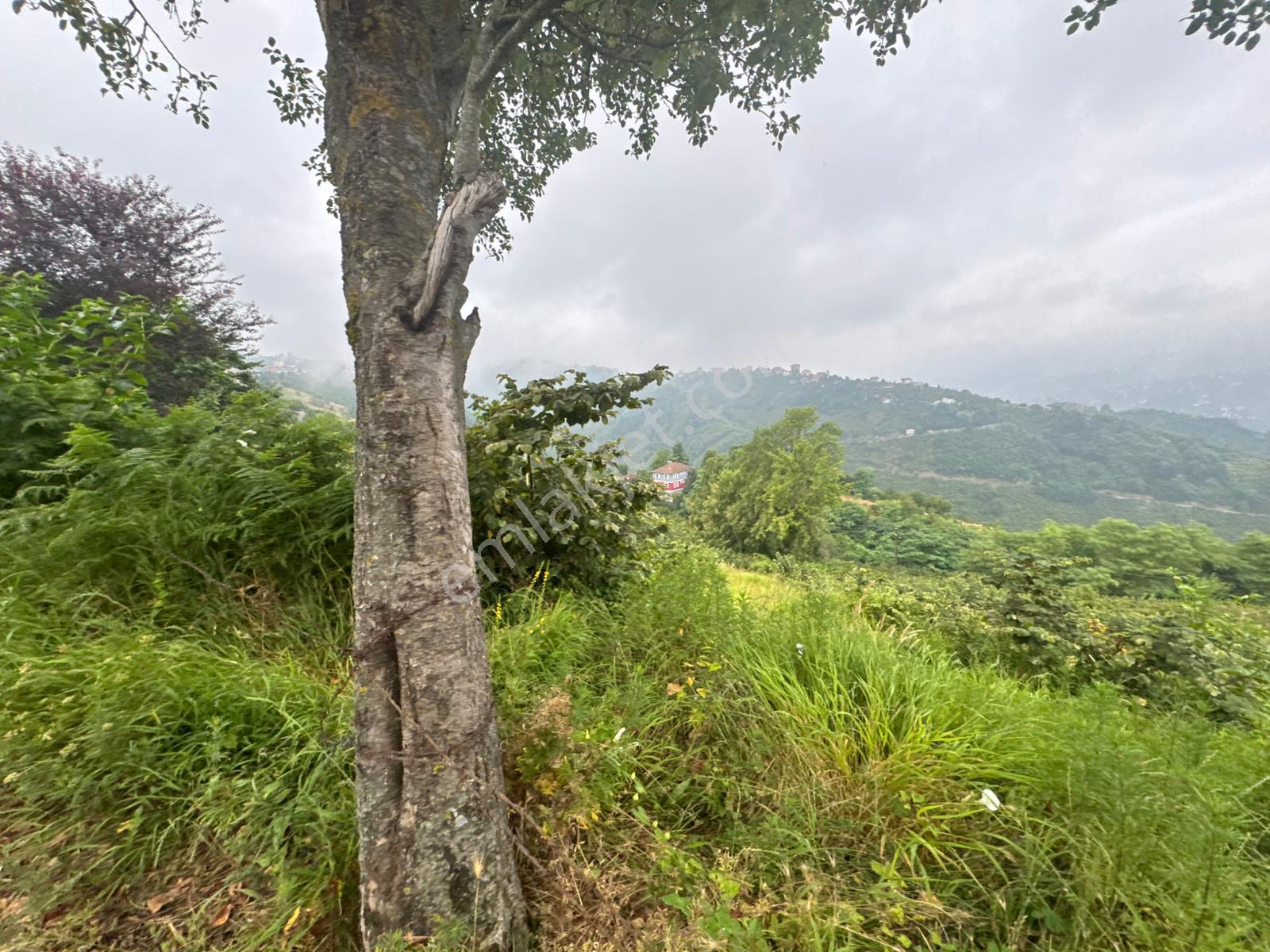 Trabzon Ortahisar'da Satılık Arazi - Görsel 19