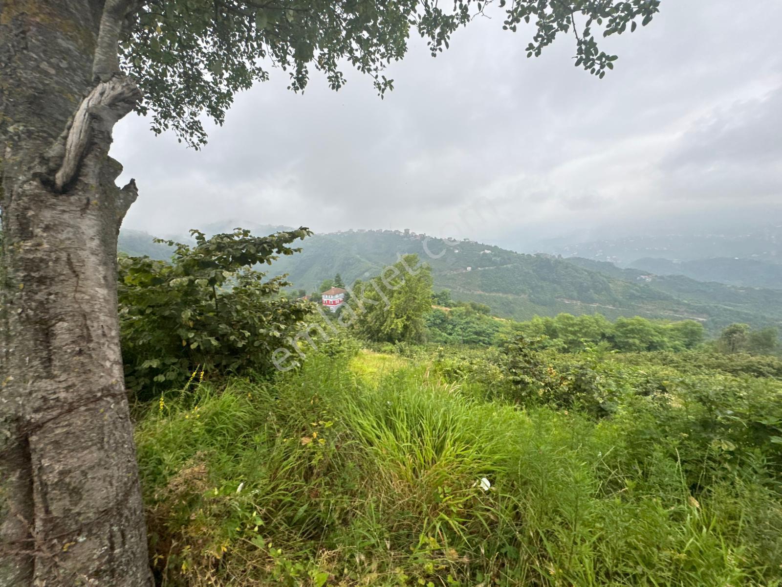 Trabzon Ortahisar'da Satılık Arazi - Görsel 23
