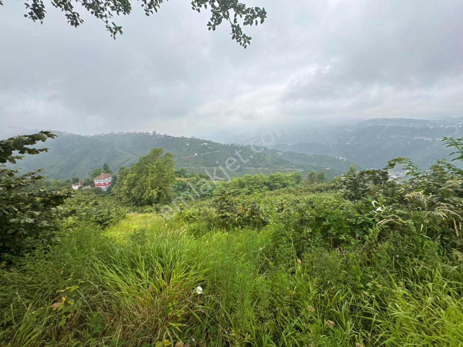 Trabzon Ortahisar'da Satılık Arazi - Görsel 12