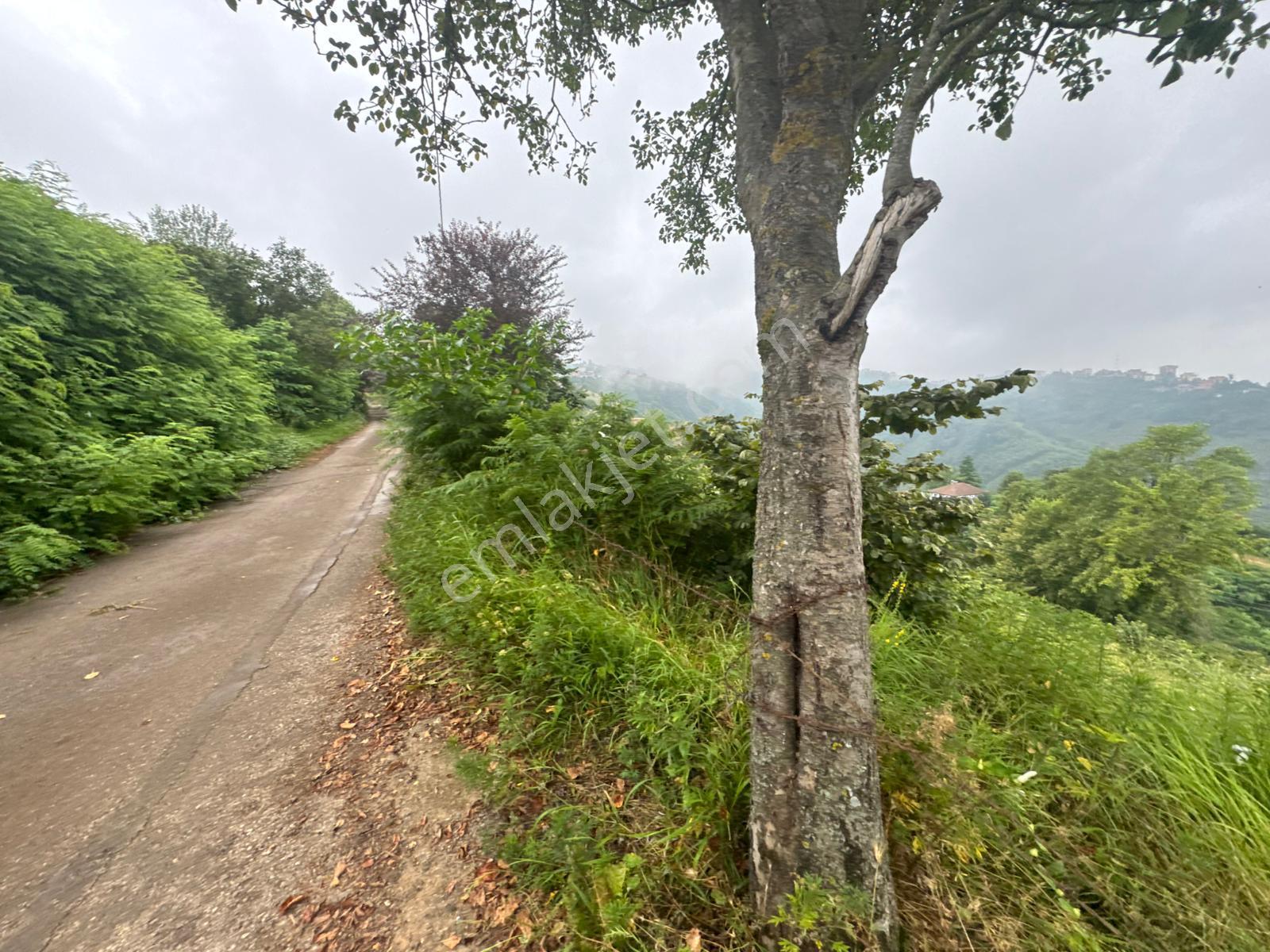 Trabzon Ortahisar'da Satılık Arazi - Görsel 16