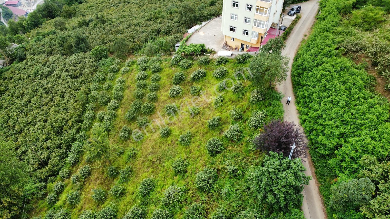Trabzon Ortahisar'da Satılık Arazi - Görsel 8