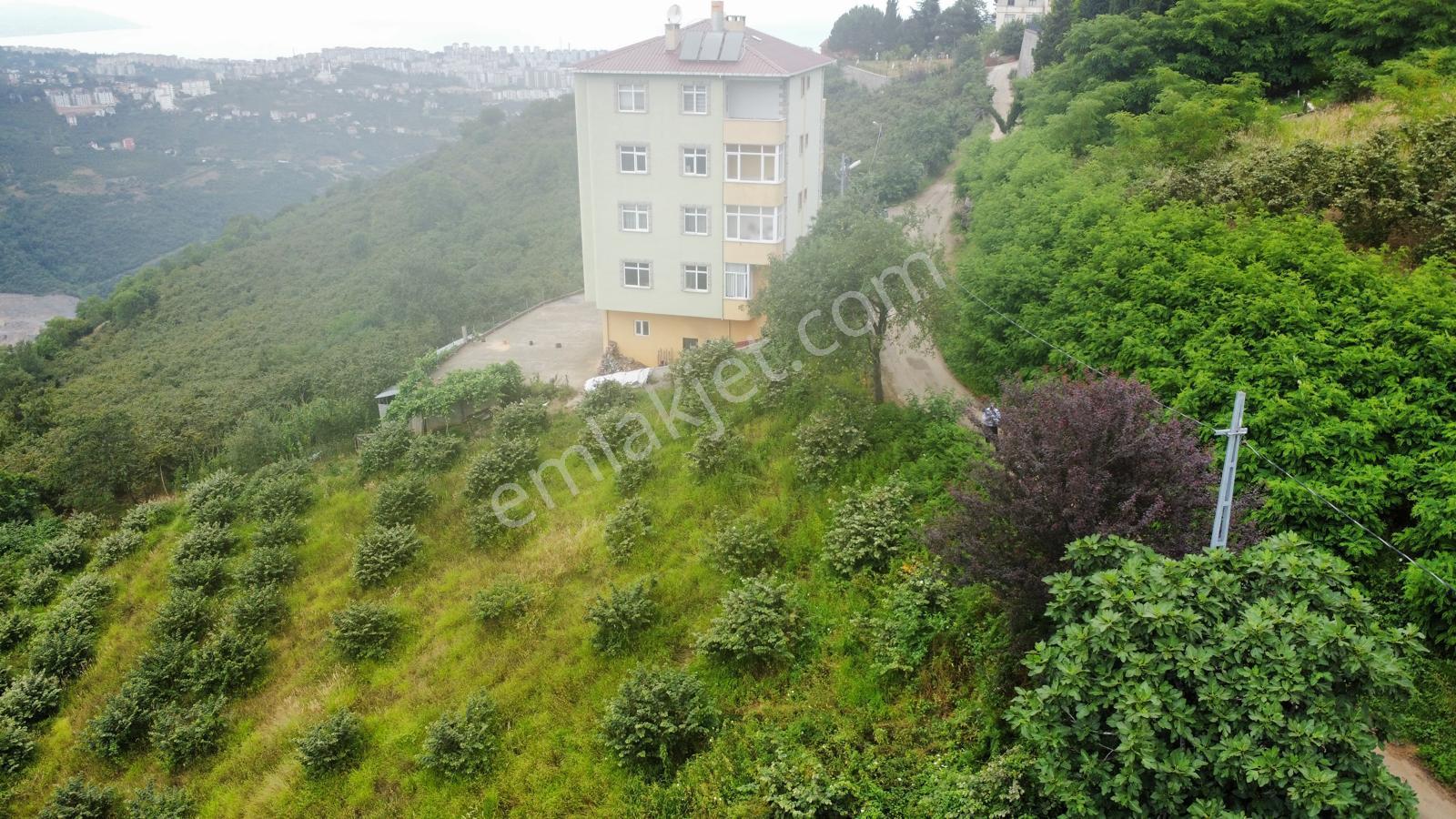 Trabzon Ortahisar'da Satılık Arazi - Görsel 11