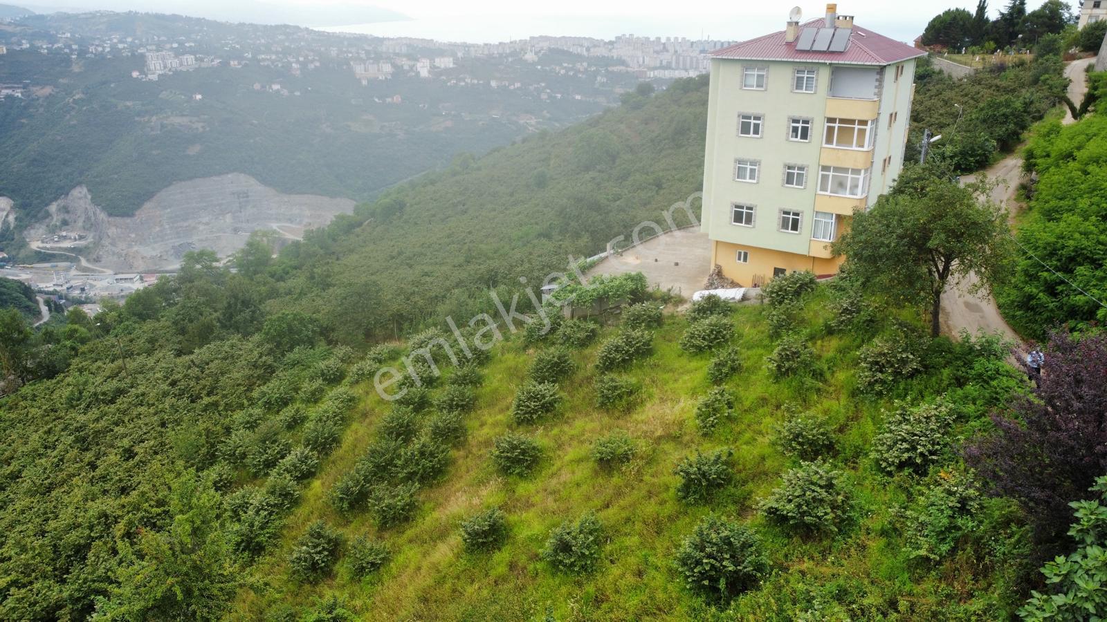 Trabzon Ortahisar'da Satılık Arazi