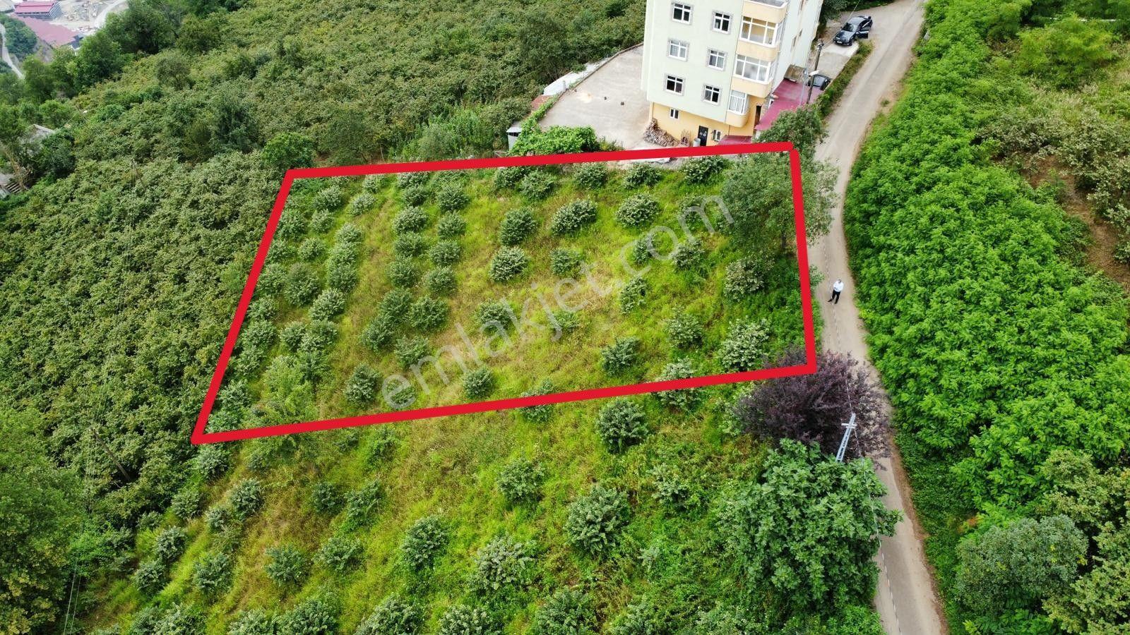 Trabzon Ortahisar'da Satılık Arazi - Görsel 10