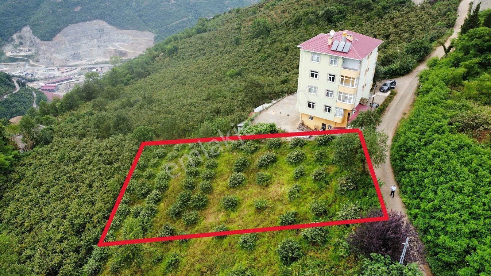 Trabzon Ortahisar'da Satılık Arazi - Görsel 2