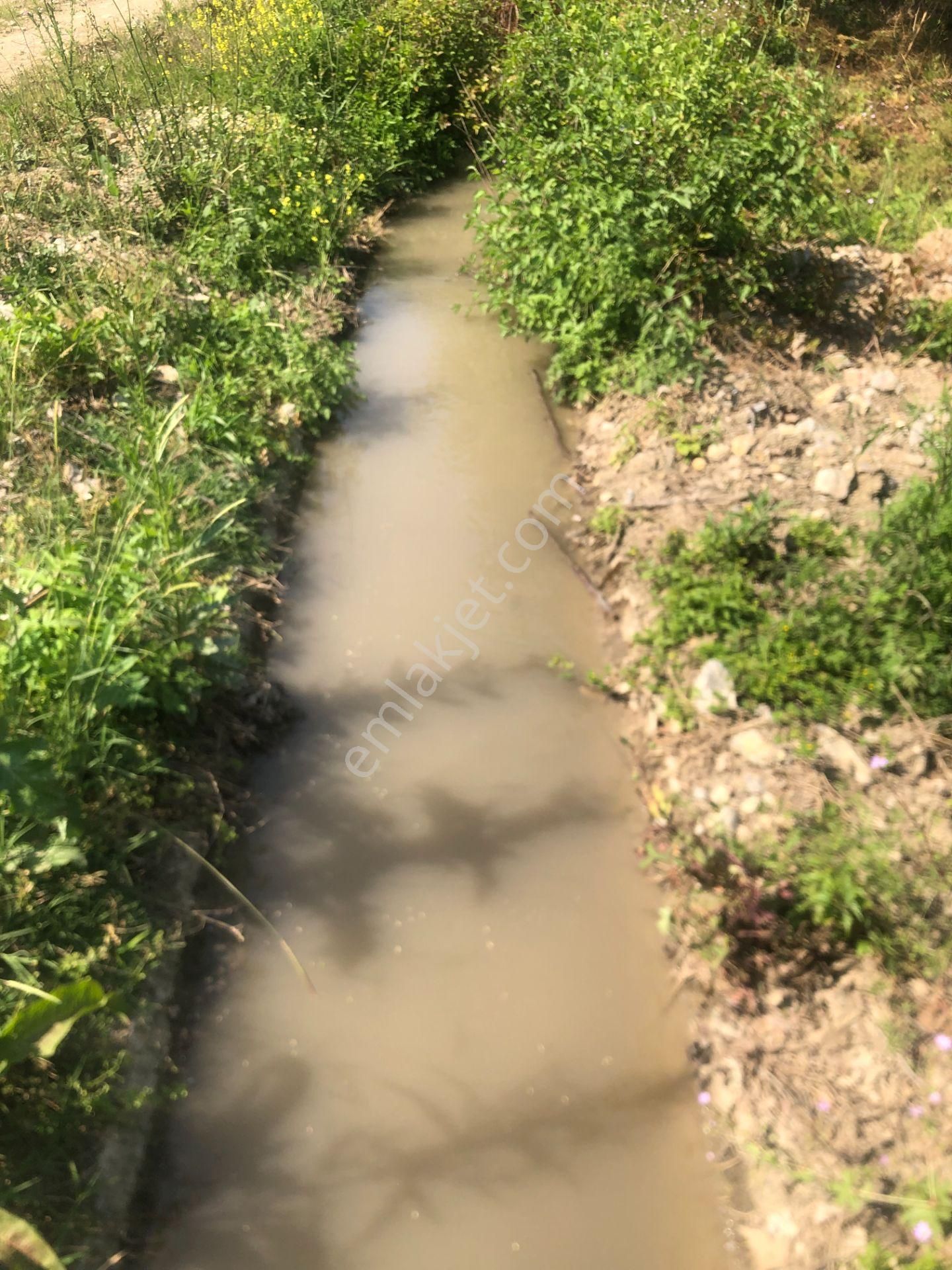 Altınbaş Emlak'tan Alibeyköy'de Satılık Ceviz Bahçesi - Görsel 7