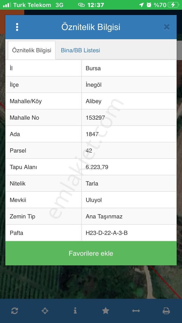 Altınbaş Emlak'tan Alibeyköy'de Satılık Ceviz Bahçesi - Görsel 2