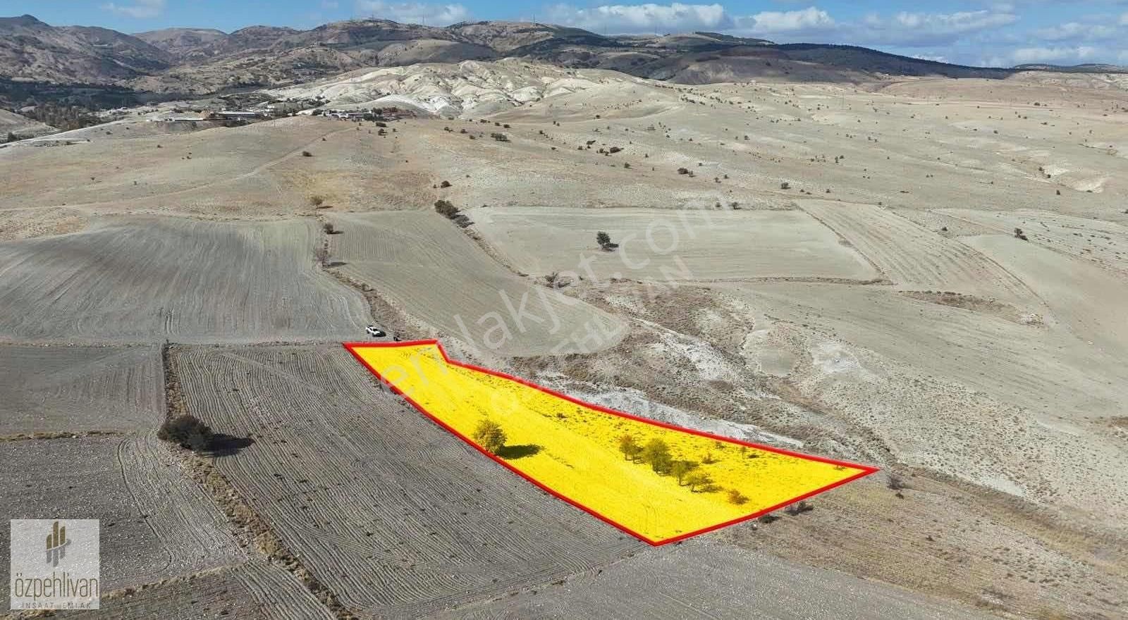 Satılık Üniversite Arazisi Yanında Tek Tapu Tarla
