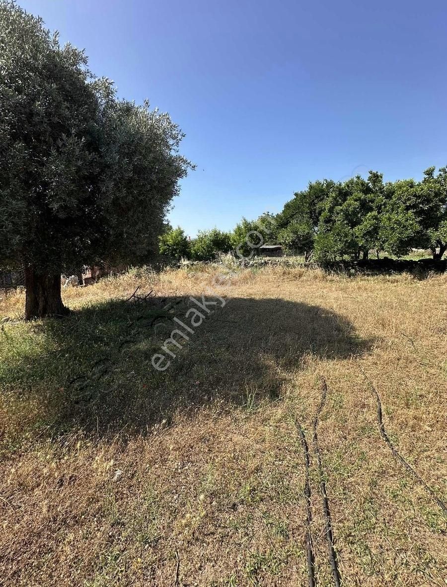 Akbaşlar'dan Milas Selimiye'de Köy İçi 250 M2 Ev İzinli - Görsel 14