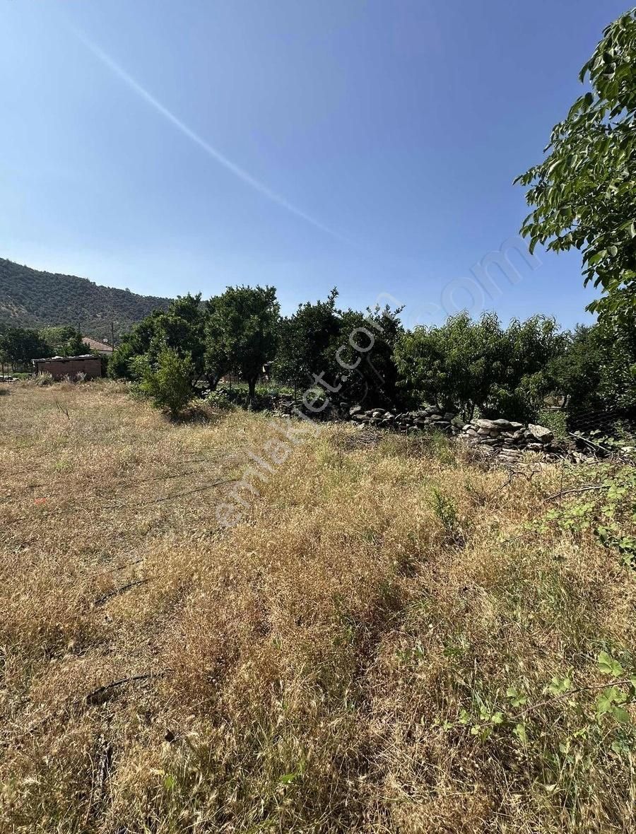 Akbaşlar'dan Milas Selimiye'de Köy İçi 250 M2 Ev İzinli - Görsel 5