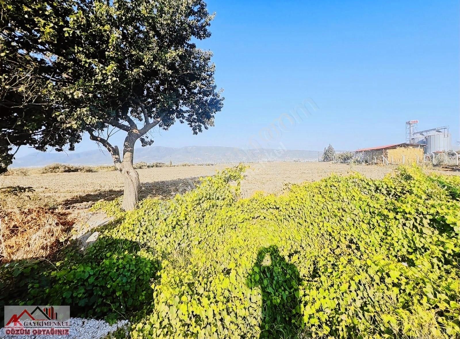 İmar Sınırında 42 Dönüm Yerimiz Satılıktır - Görsel 9