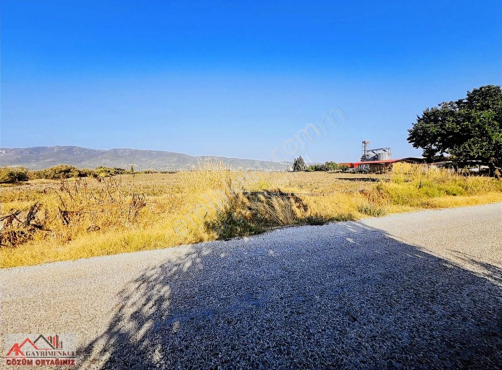 İmar Sınırında 42 Dönüm Yerimiz Satılıktır - Görsel 6