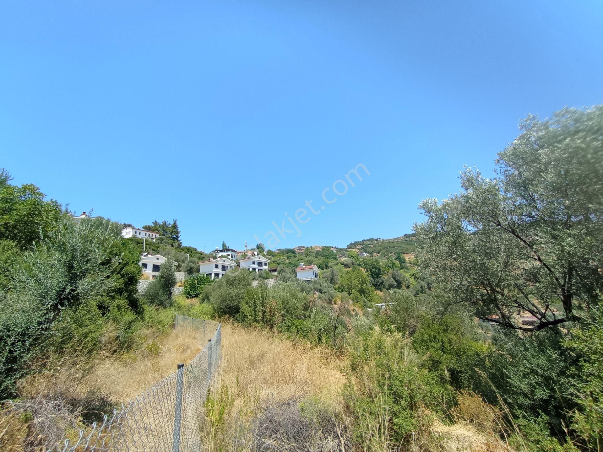 Sederihisar Orhanlı Tek Müstakil Tapu 1920 M2 - Görsel 4