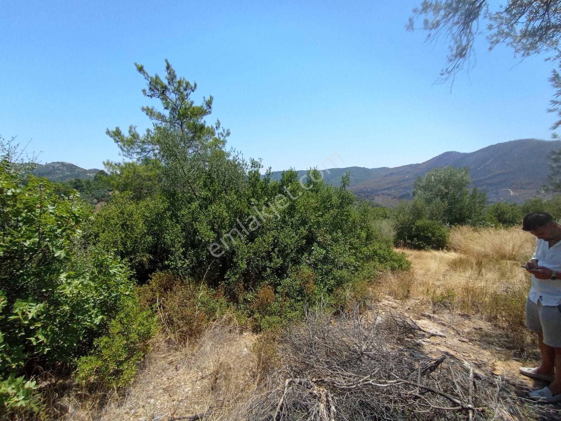 Sederihisar Orhanlı Tek Müstakil Tapu 1920 M2 - Görsel 7