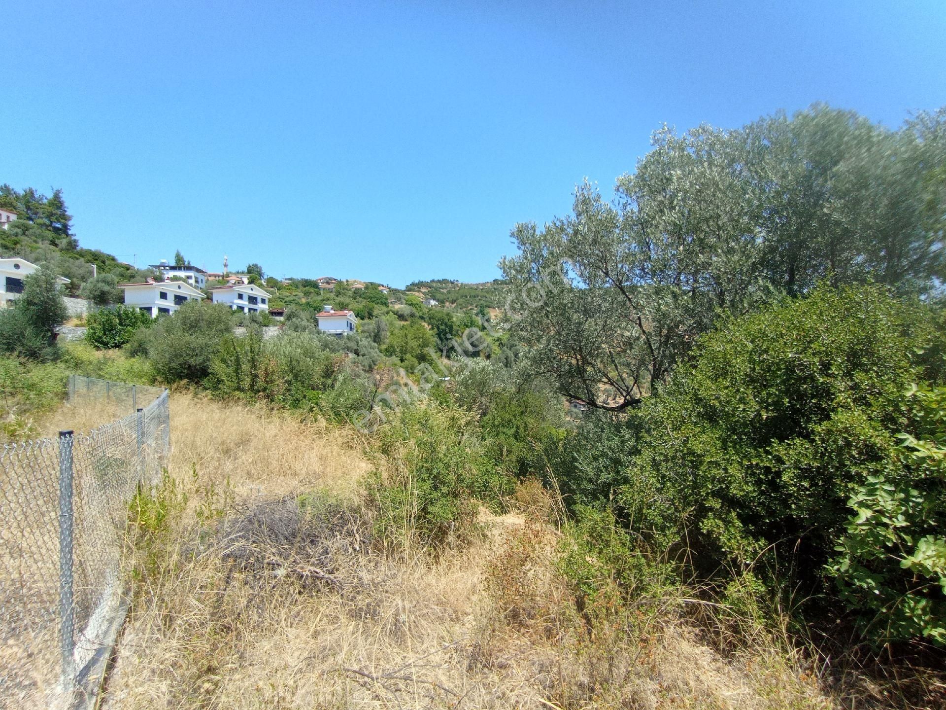 Sederihisar Orhanlı Tek Müstakil Tapu 1920 M2 - Görsel 3