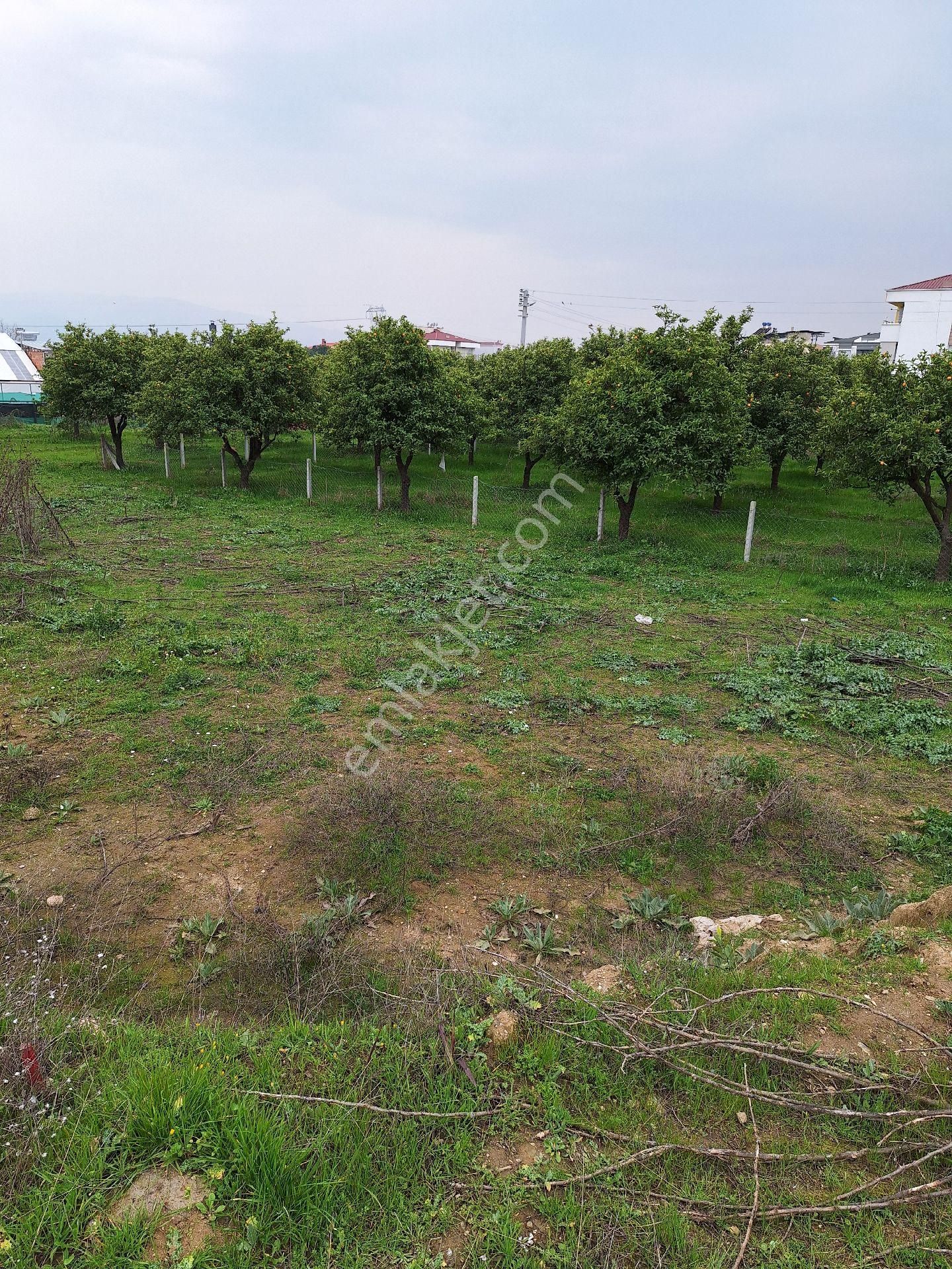 Villalar İmarlı Arsa - Görsel 8