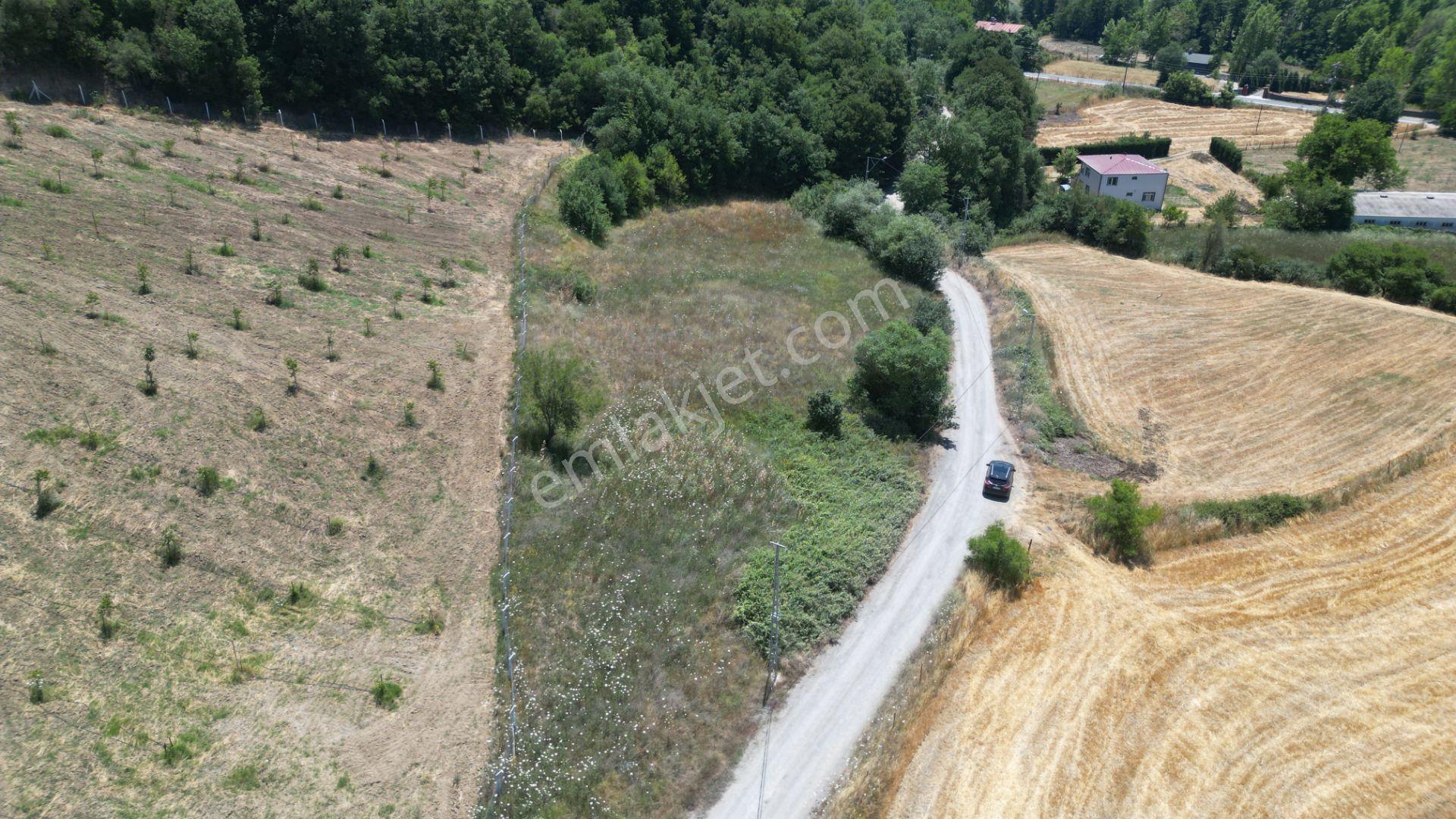 Kocaeli Karamürsel Yalakdere Valideköprü Satılık Tarla 3310 M2 - Görsel 8