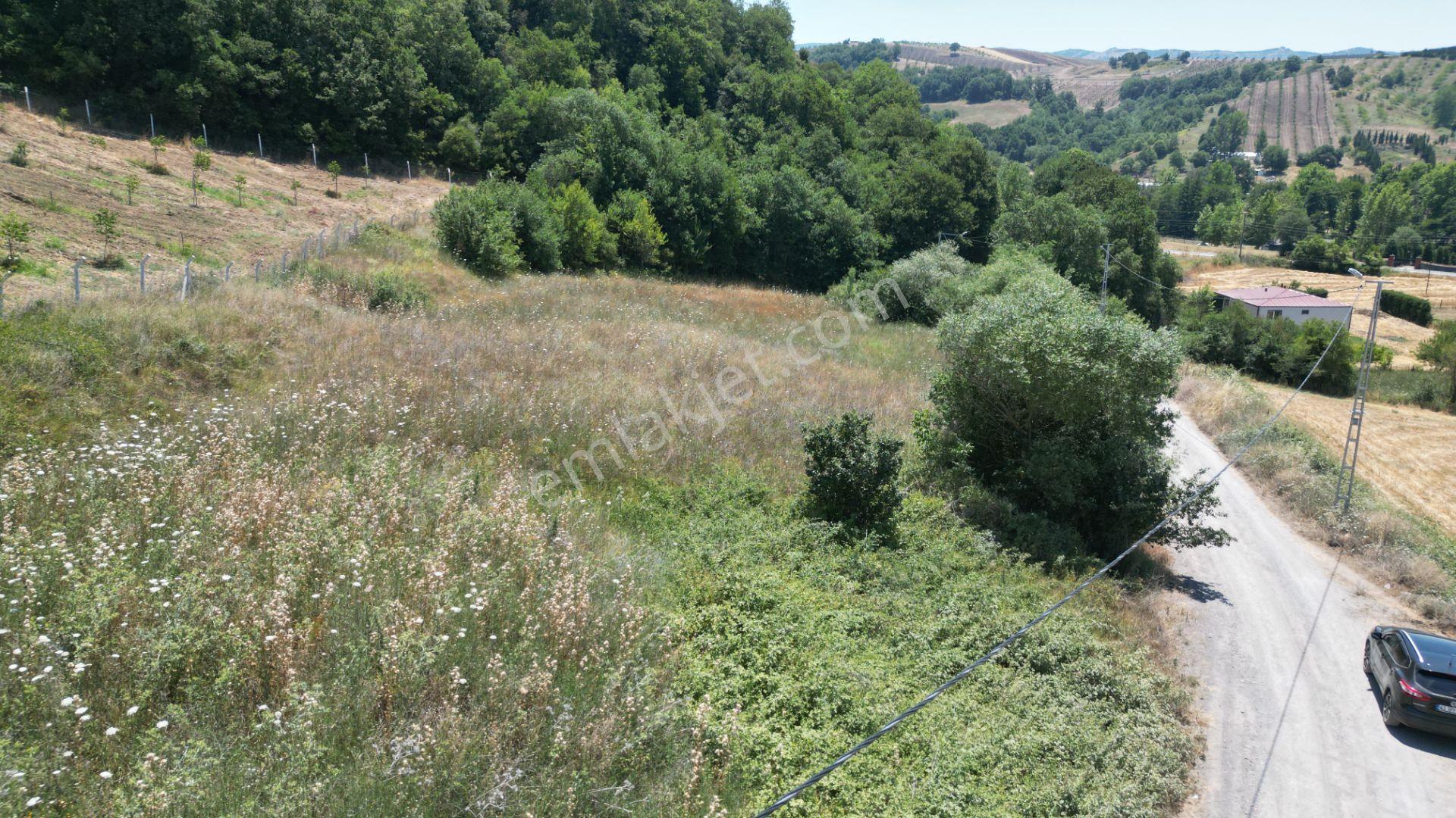 Kocaeli Karamürsel Yalakdere Valideköprü Satılık Tarla 3310 M2 - Görsel 6