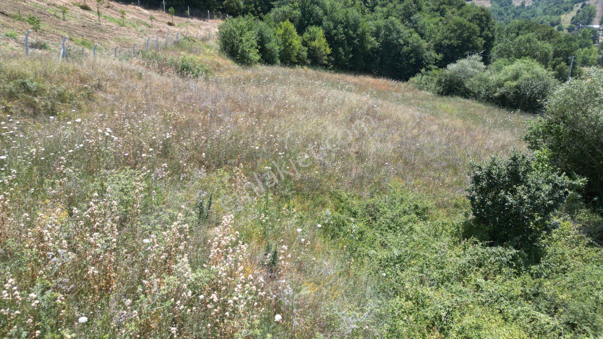 Kocaeli Karamürsel Yalakdere Valideköprü Satılık Tarla 3310 M2 - Görsel 3