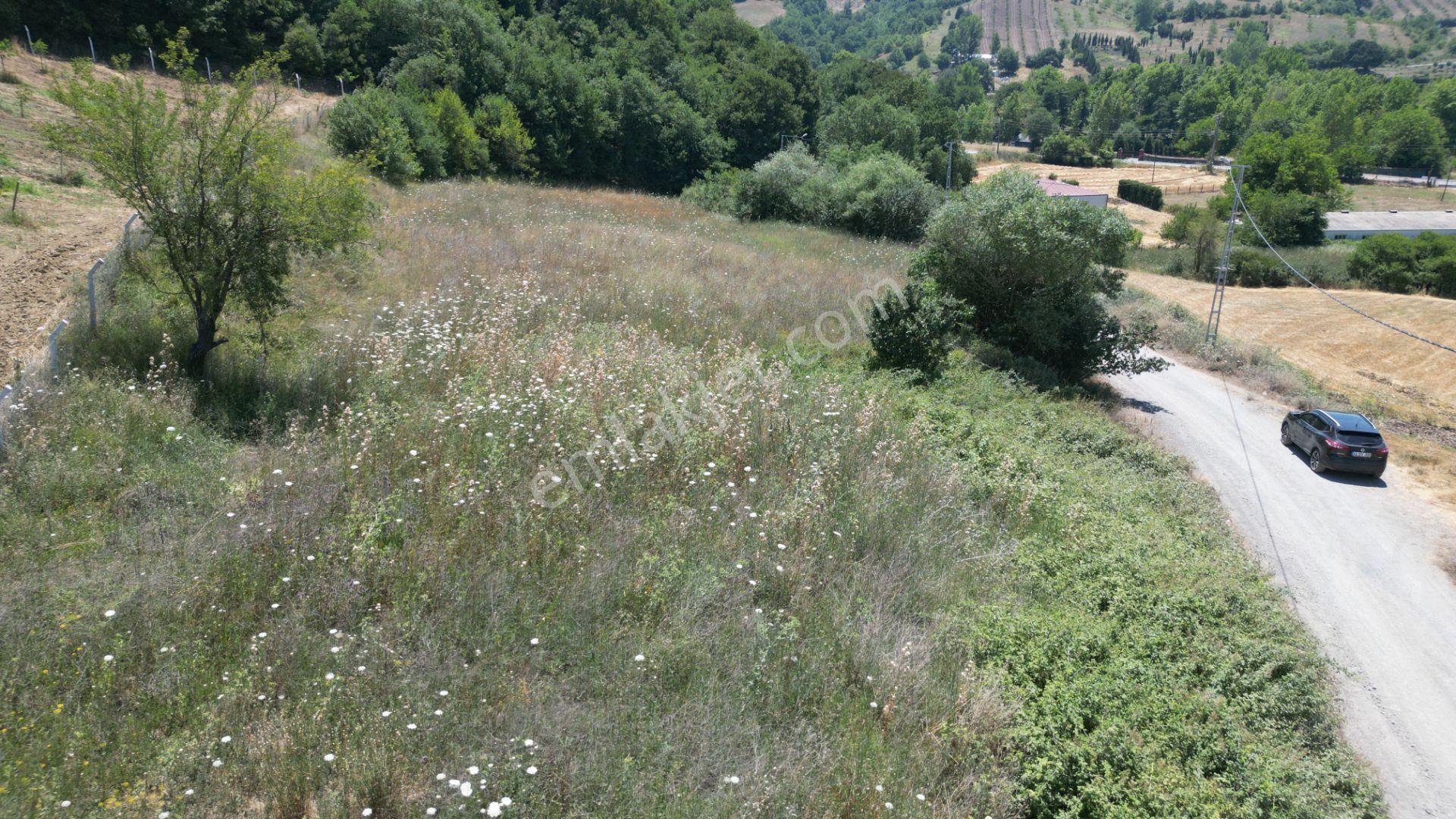 Kocaeli Karamürsel Yalakdere Valideköprü Satılık Tarla 3310 M2 - Görsel 2