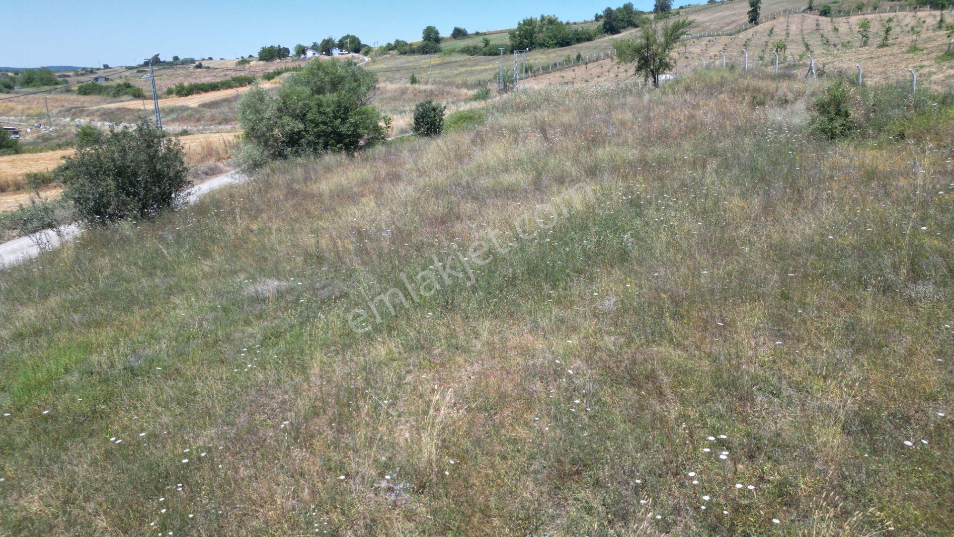 Kocaeli Karamürsel Yalakdere Valideköprü Satılık Tarla 3310 M2 - Görsel 4