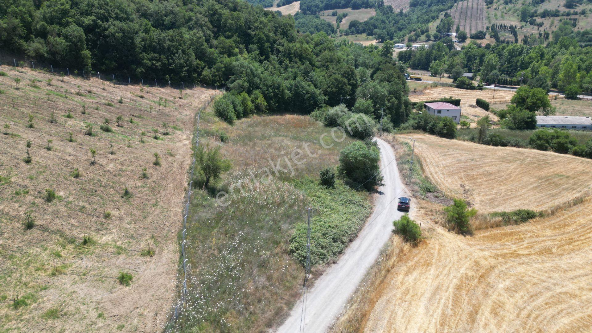 Kocaeli Karamürsel Yalakdere Valideköprü Satılık Tarla 3310 M2 - Görsel 9