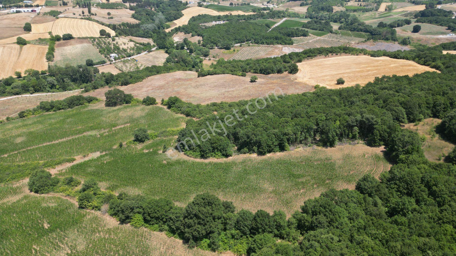 Kocaeli Karamürsel İnebeyli Mahallesi Satılık Tarla 14858 M2 - Görsel 4
