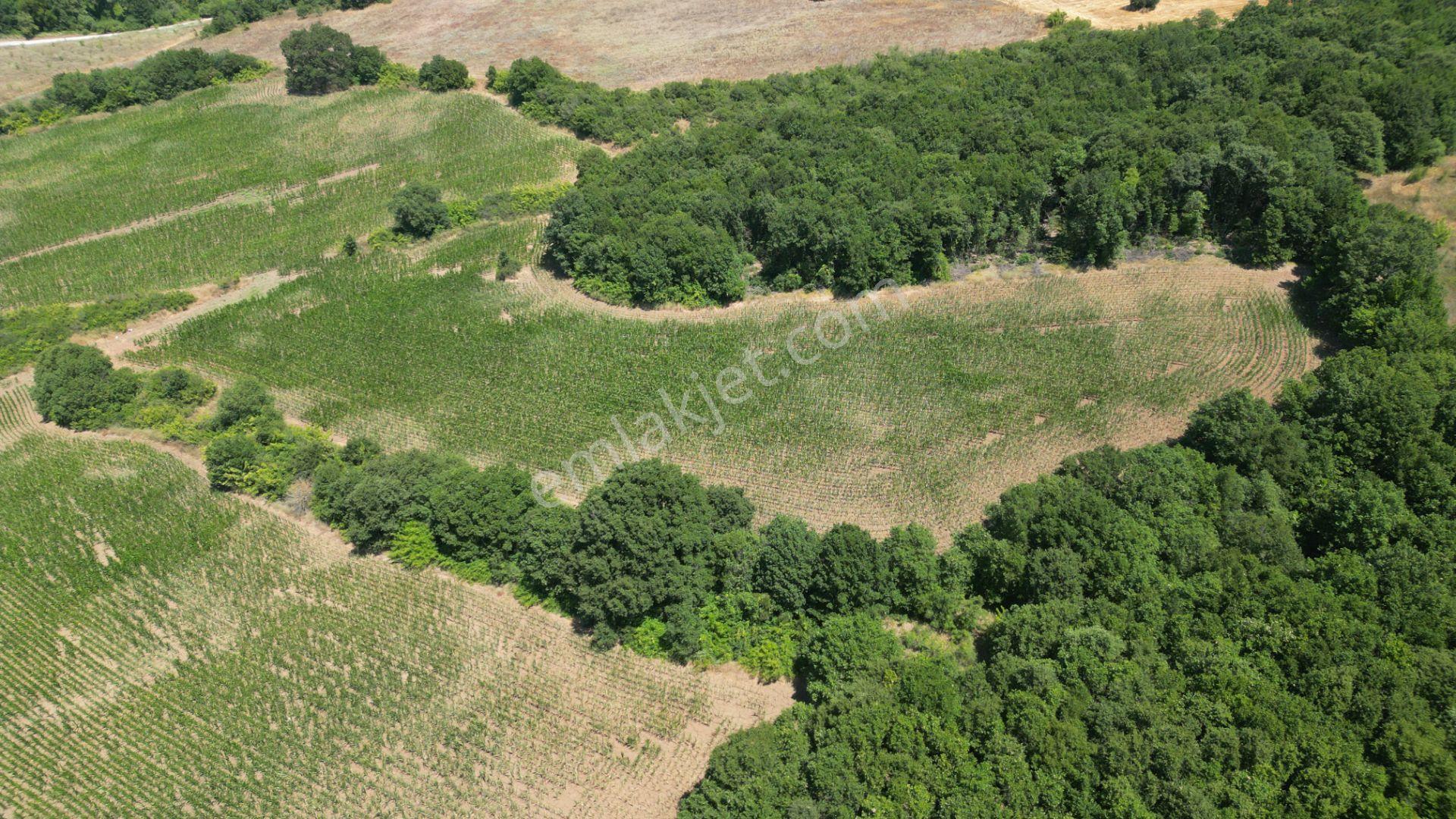 Kocaeli Karamürsel İnebeyli Mahallesi Satılık Tarla 14858 M2 - Görsel 3