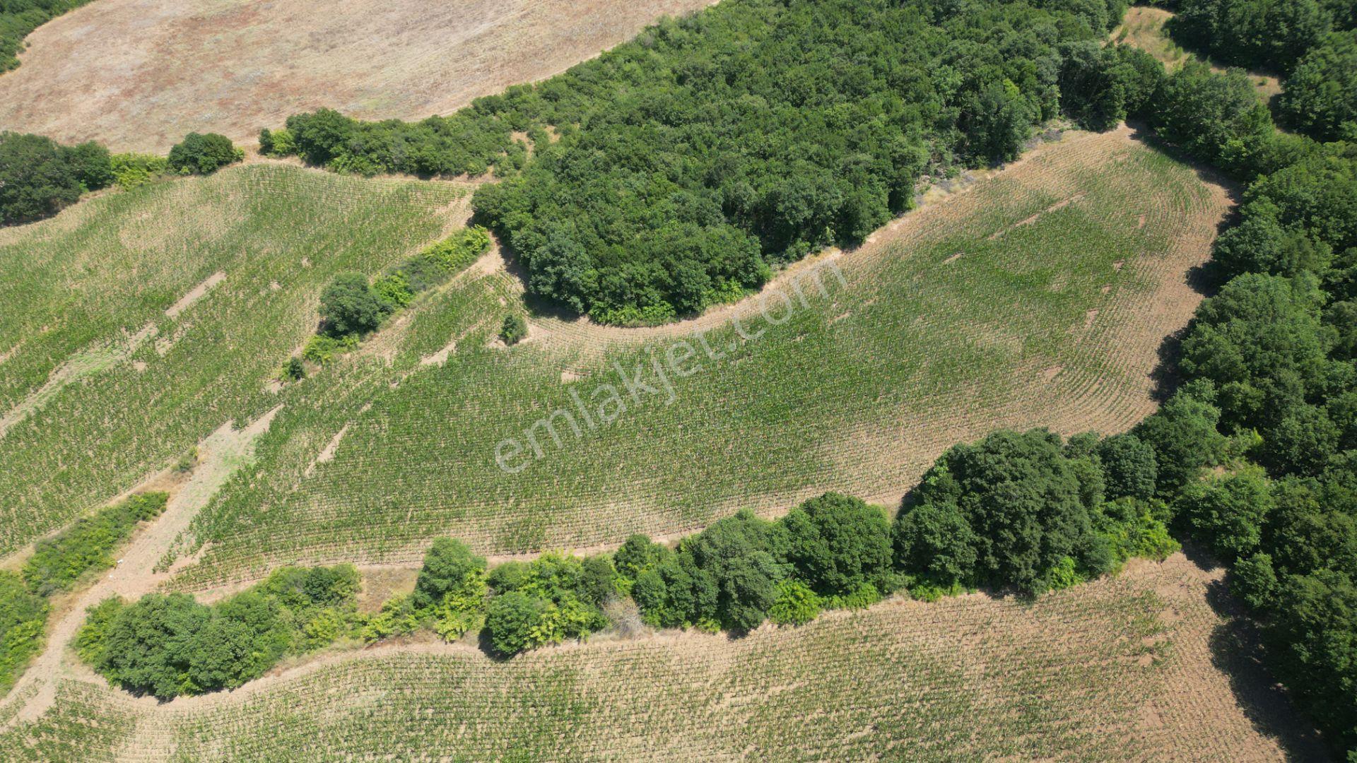 Kocaeli Karamürsel İnebeyli Mahallesi Satılık Tarla 14858 M2 - Görsel 11
