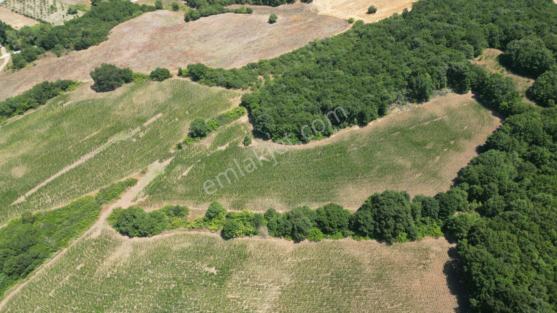 Kocaeli Karamürsel İnebeyli Mahallesi Satılık Tarla 14858 M2 - Görsel 10