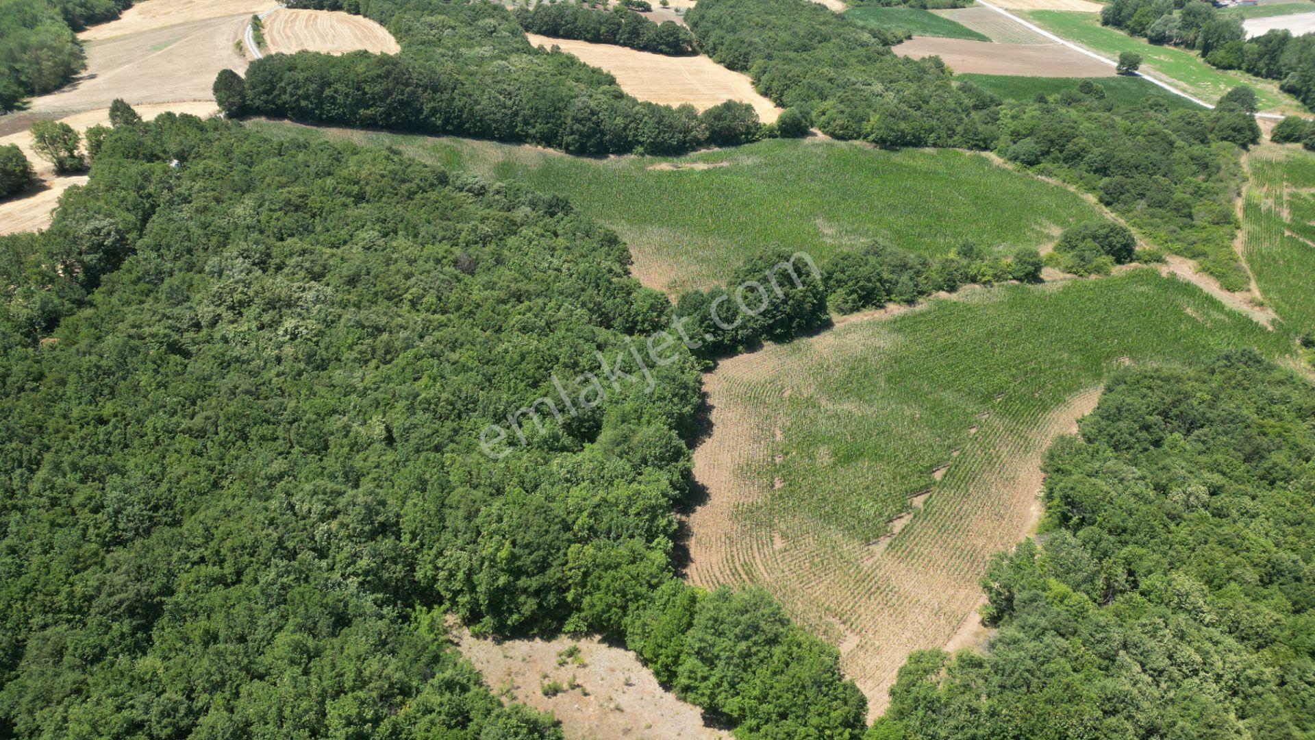 Kocaeli Karamürsel İnebeyli Mahallesi Satılık Tarla 14858 M2 - Görsel 8