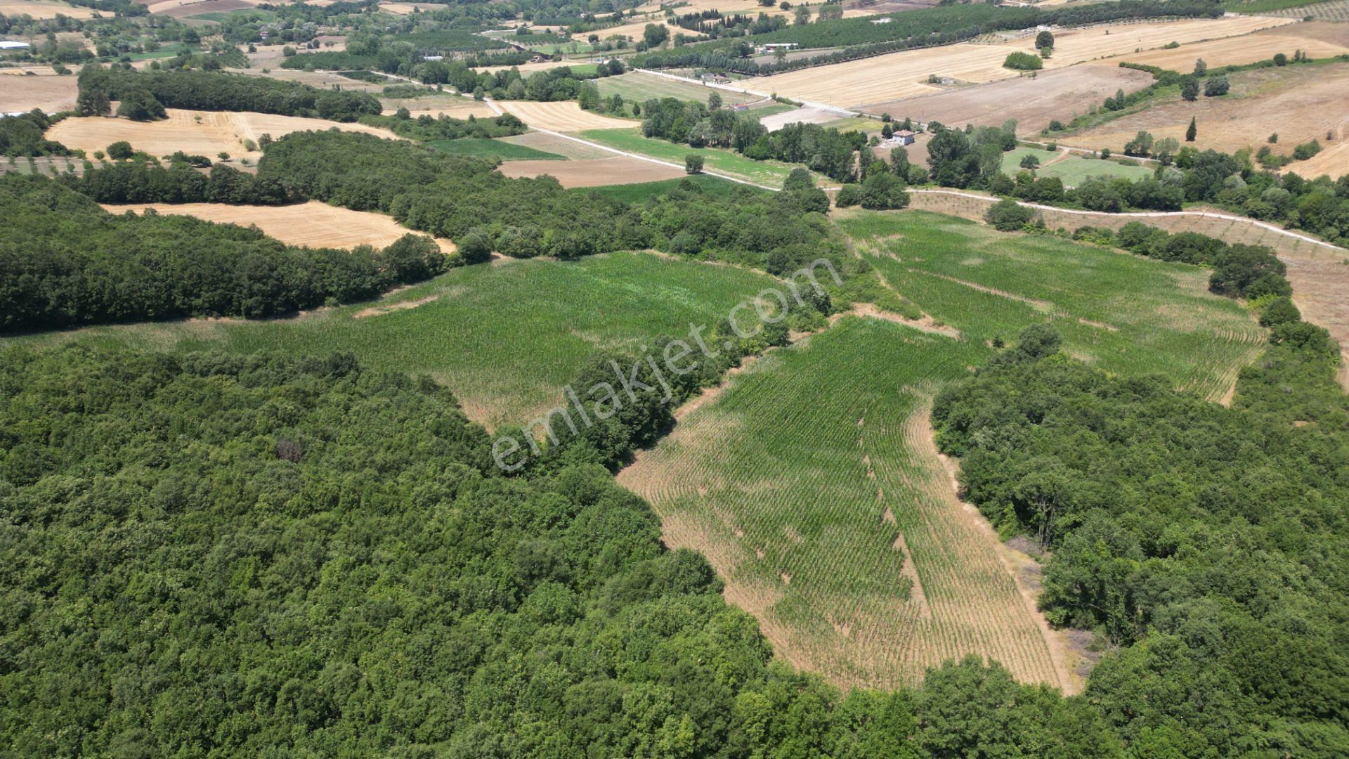 Kocaeli Karamürsel İnebeyli Mahallesi Satılık Tarla 14858 M2 - Görsel 6