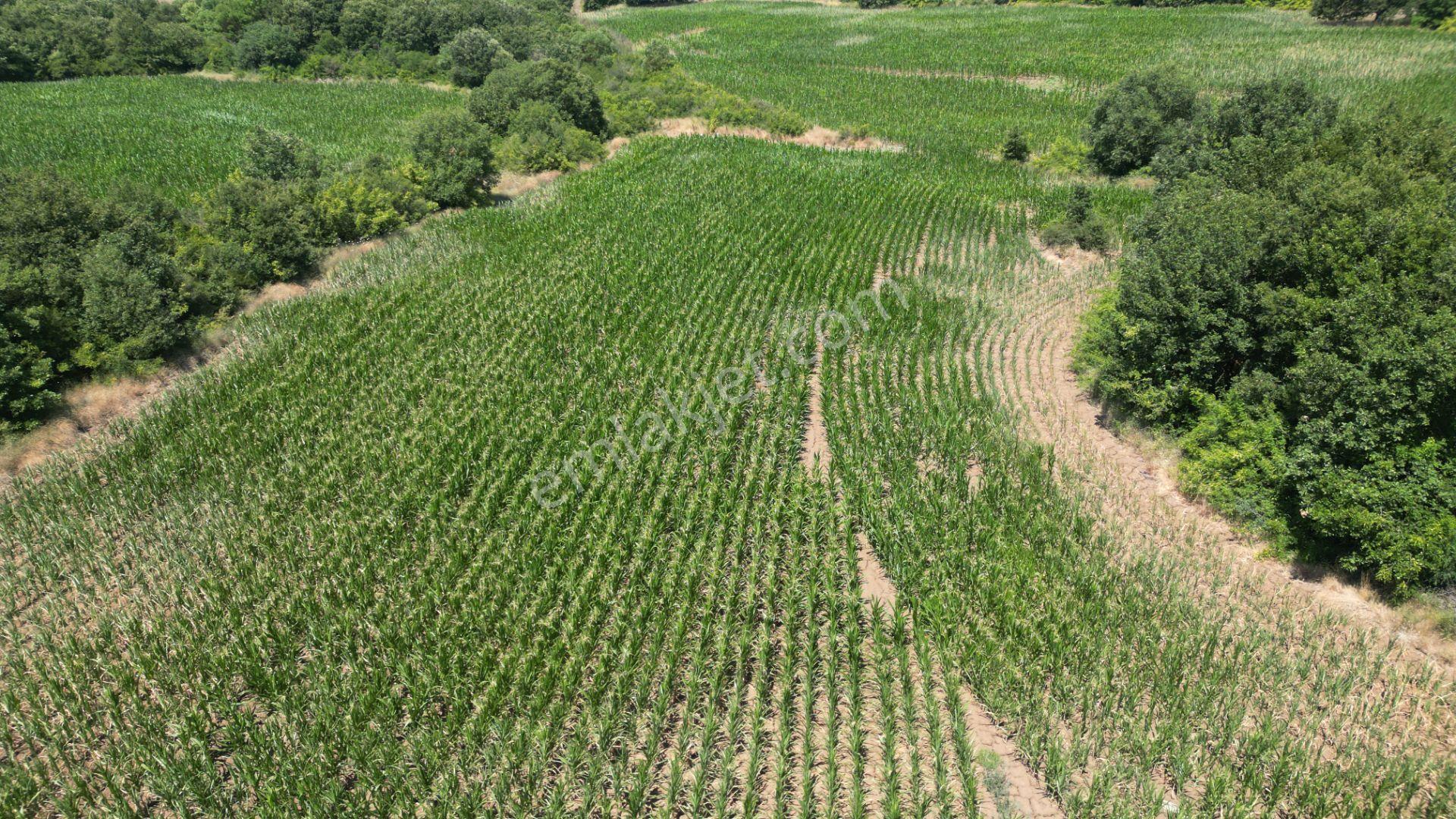 Kocaeli Karamürsel İnebeyli Mahallesi Satılık Tarla 14858 M2 - Görsel 14
