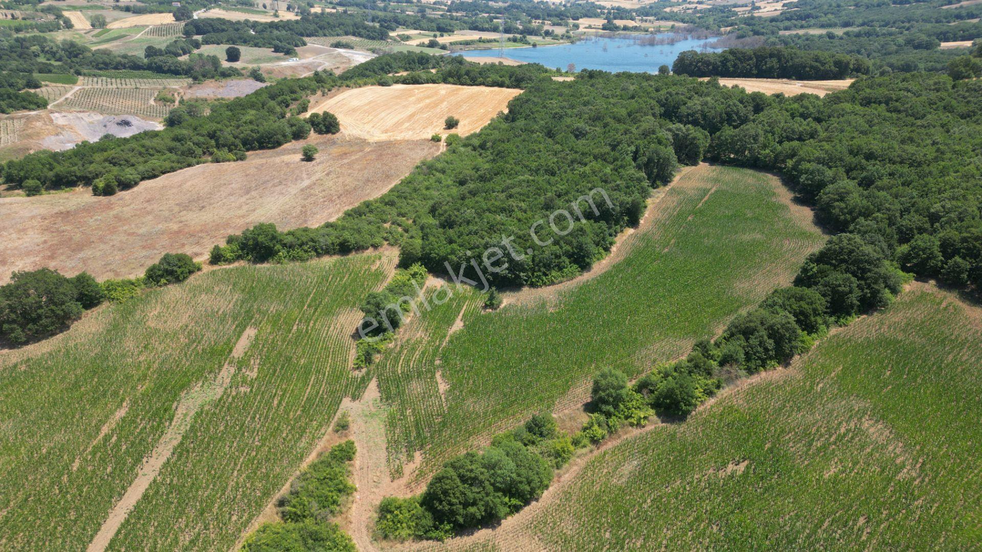 Kocaeli Karamürsel İnebeyli Mahallesi Satılık Tarla 14858 M2 - Görsel 23