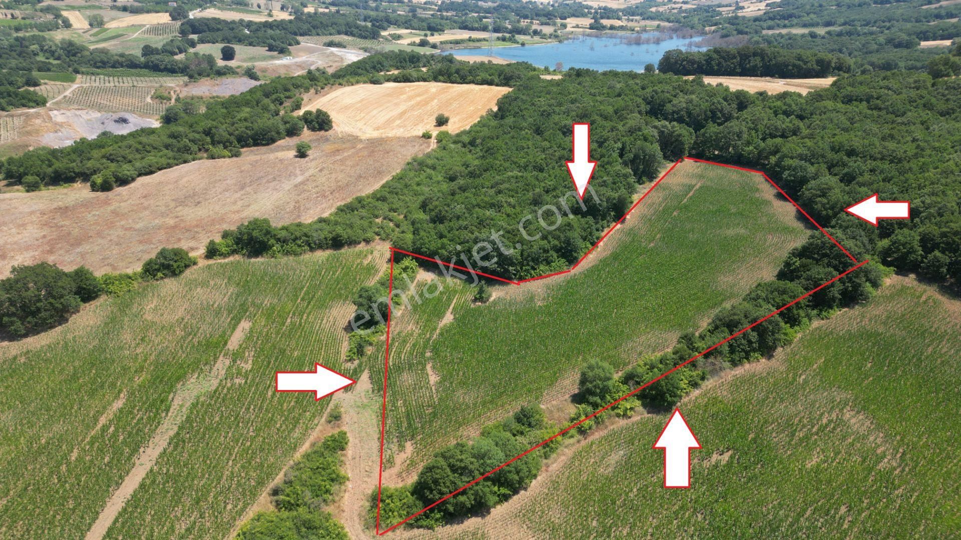 Kocaeli Karamürsel İnebeyli Mahallesi Satılık Tarla 14858 M2