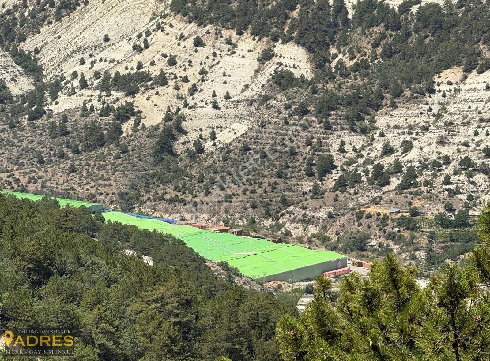 Adres Gayrimenkulden Geyikpınarda Ormanın İçinde Satılık Tarla