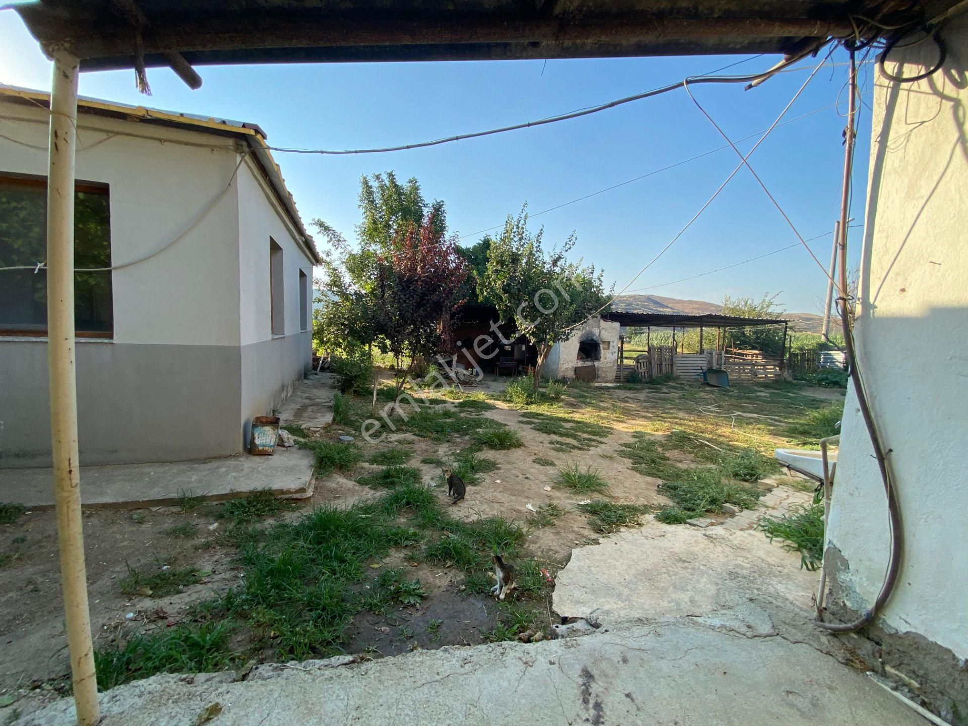 İzmir Tire Çayırlı Mahallesinde Satılık Ruhsatlı Büyükbaş Hayvan Çiftliği - Görsel 19