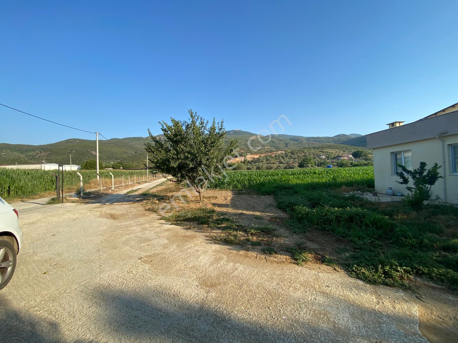 İzmir Tire Çayırlı Mahallesinde Satılık Ruhsatlı Büyükbaş Hayvan Çiftliği - Görsel 12