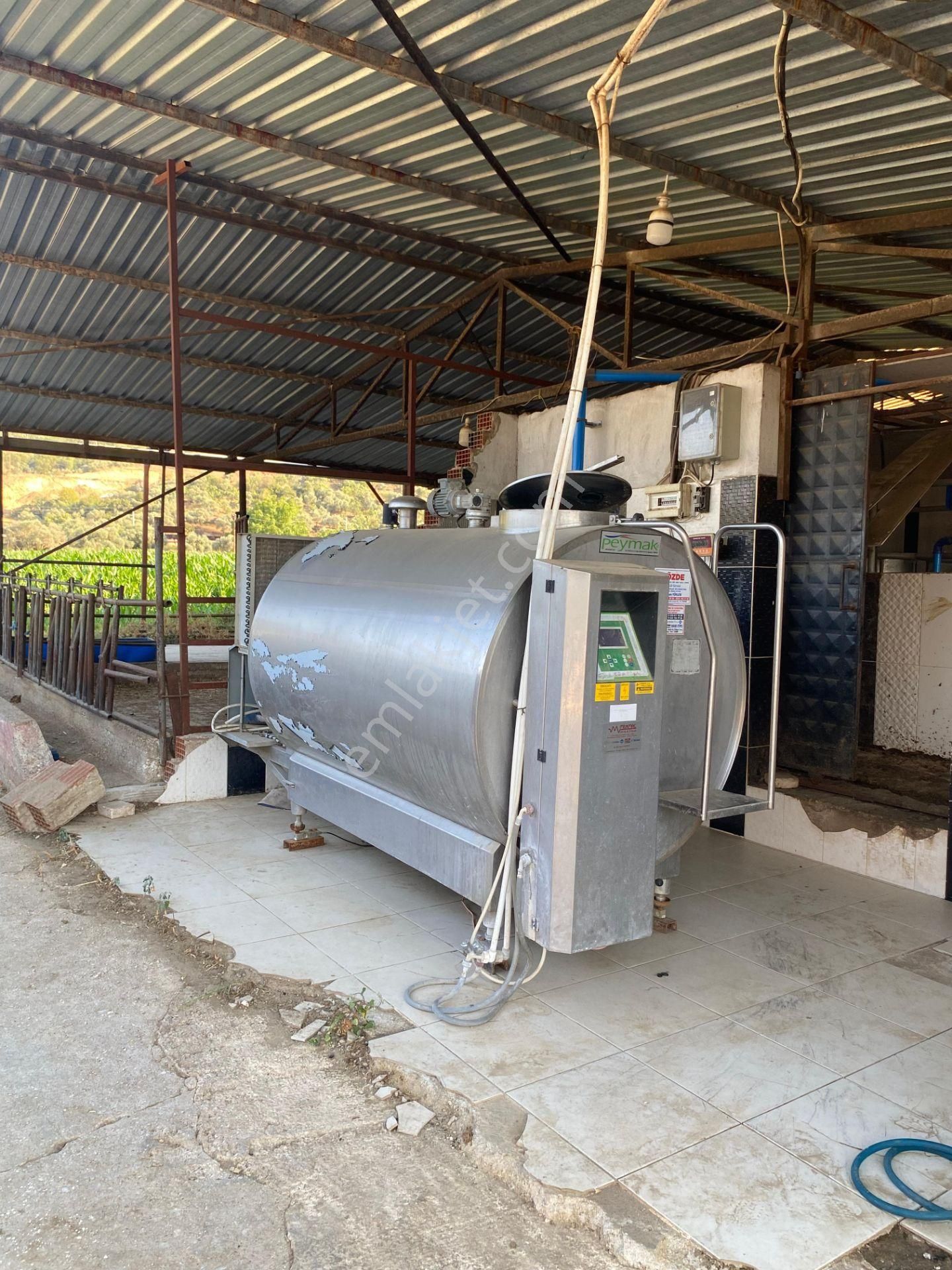 İzmir Tire Çayırlı Mahallesinde Satılık Ruhsatlı Büyükbaş Hayvan Çiftliği - Görsel 20