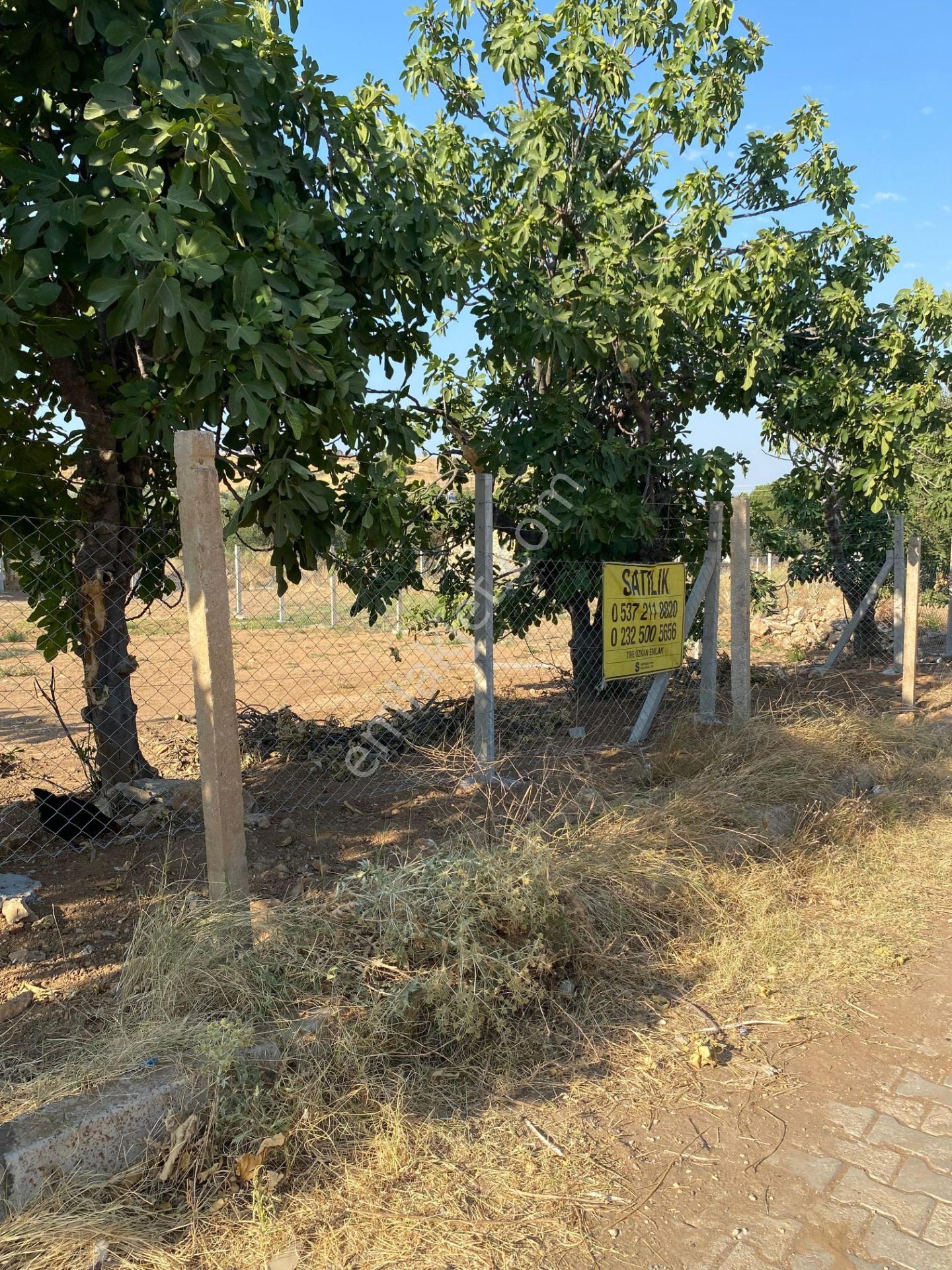 İzmir Tire Yenioba Mahallesinde Villa İmarlı Satılık Arsa - Görsel 8