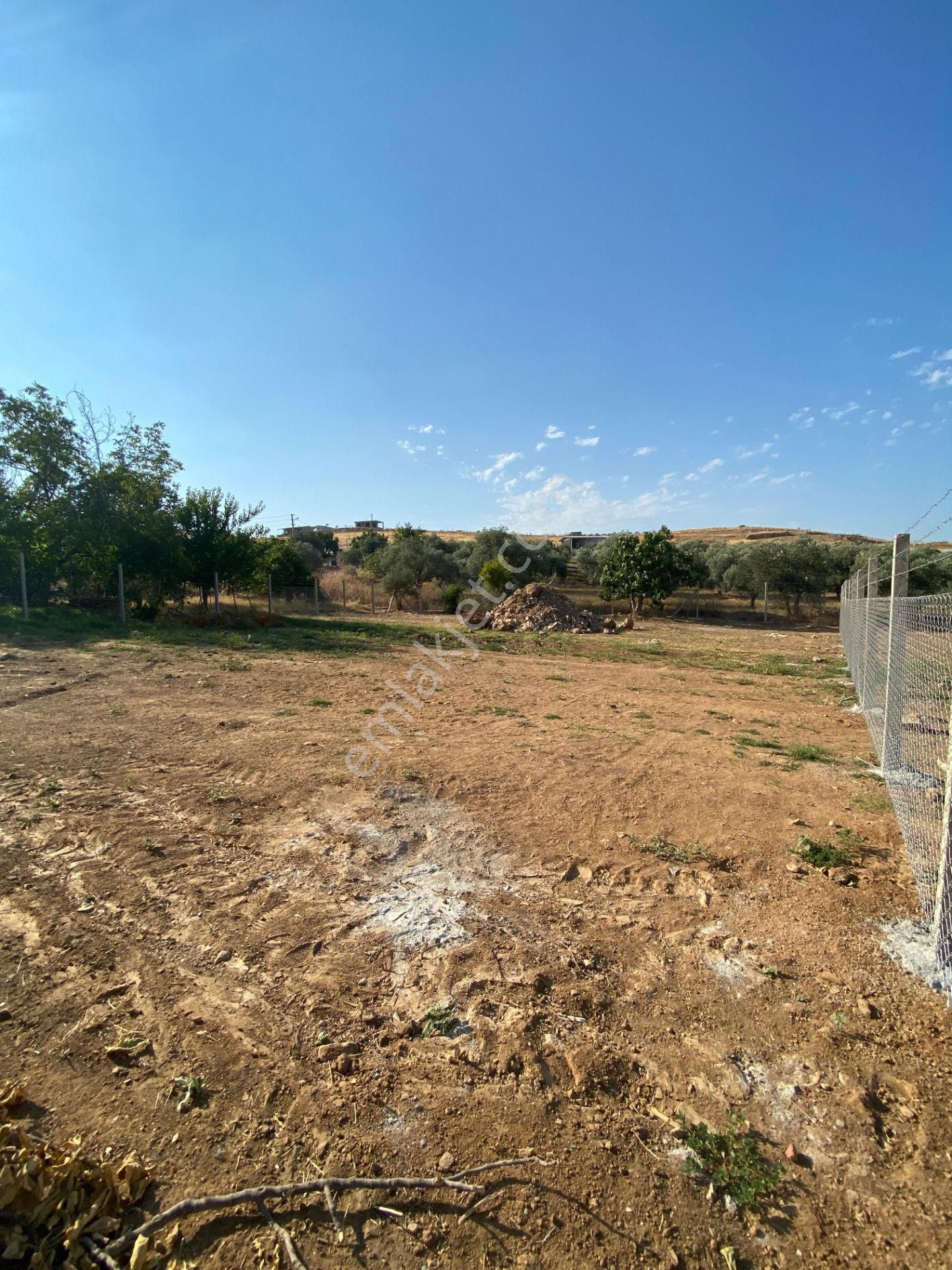 İzmir Tire Yenioba Mahallesinde Villa İmarlı Satılık Arsa - Görsel 6
