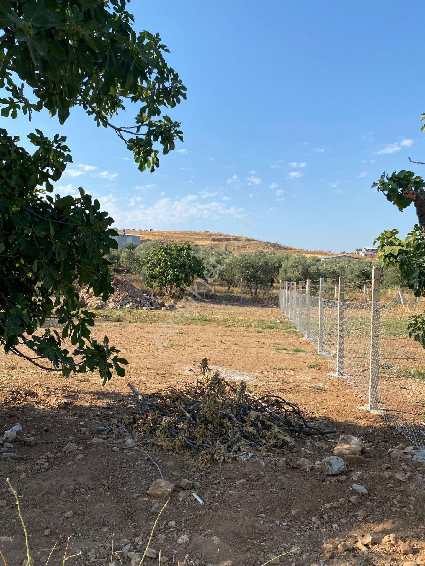 İzmir Tire Yenioba Mahallesinde Villa İmarlı Satılık Arsa - Görsel 7