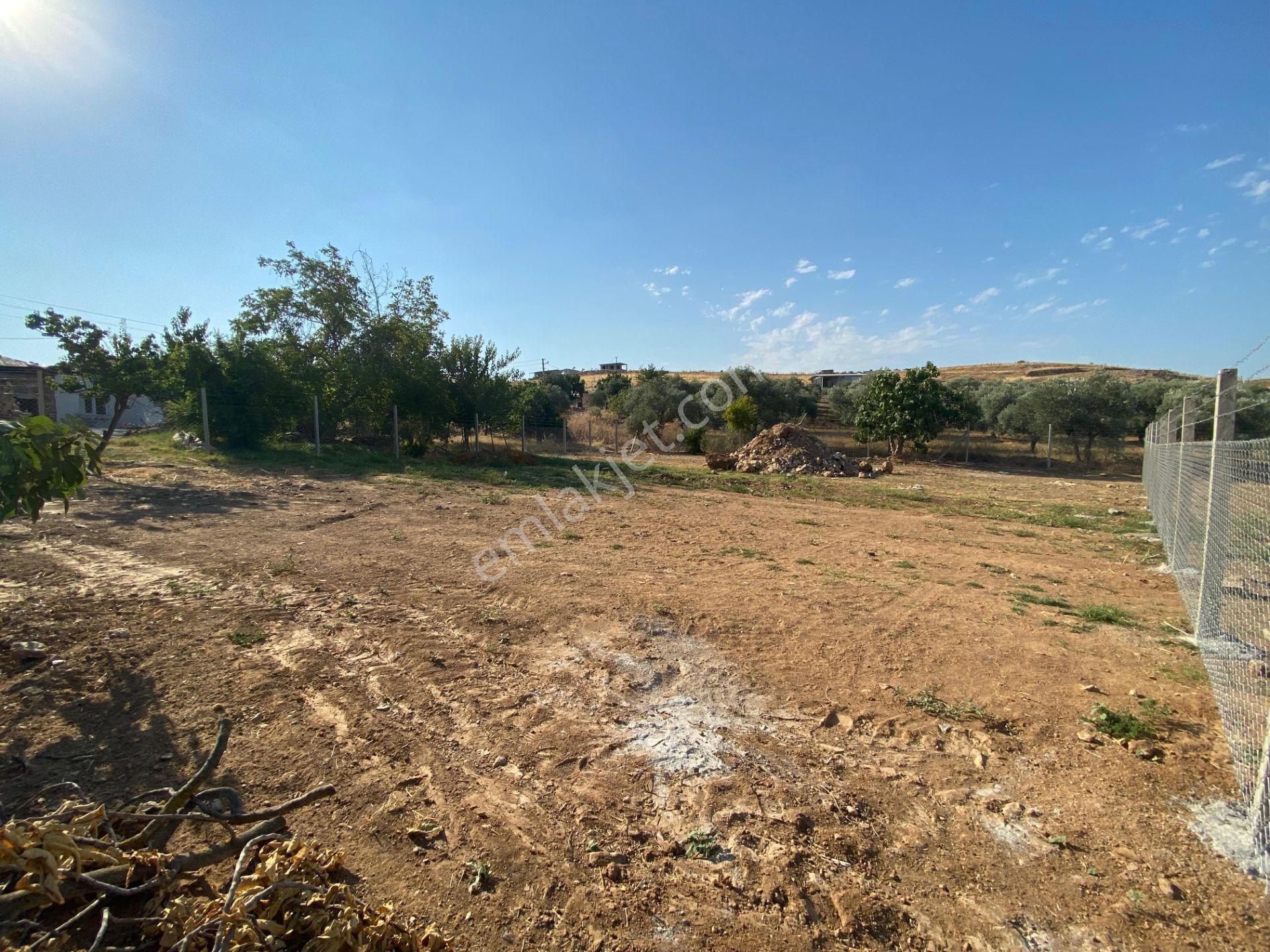İzmir Tire Yenioba Mahallesinde Villa İmarlı Satılık Arsa - Görsel 3